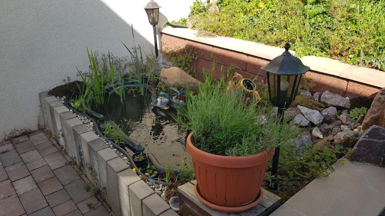 Apartment Gartenblick Neunkirchen  Extérieur photo